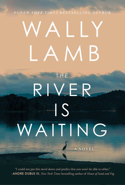 The River Is Waiting : A Novel