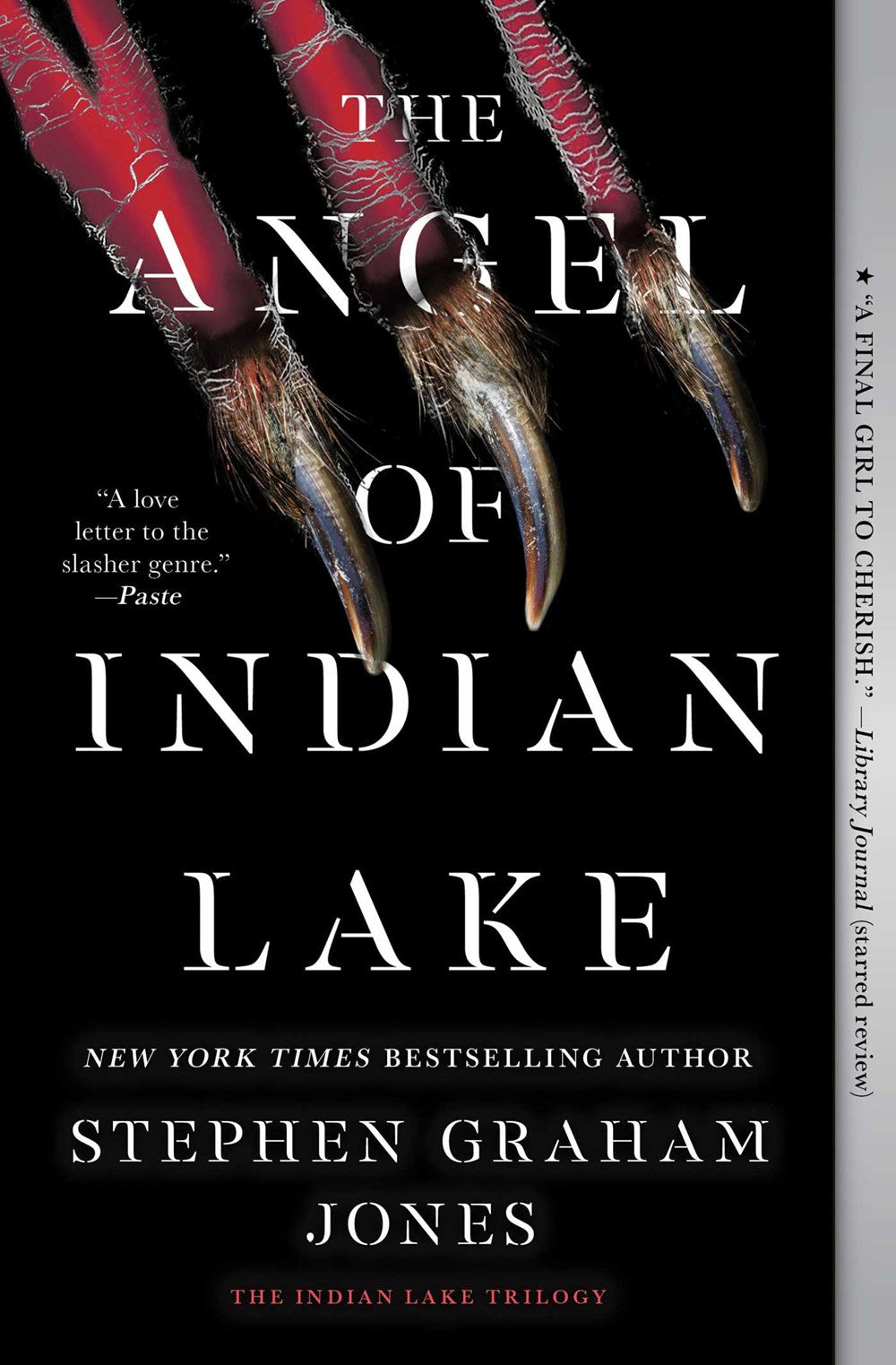 The Angel of Indian Lake (The Indian Lake Trilogy #3)