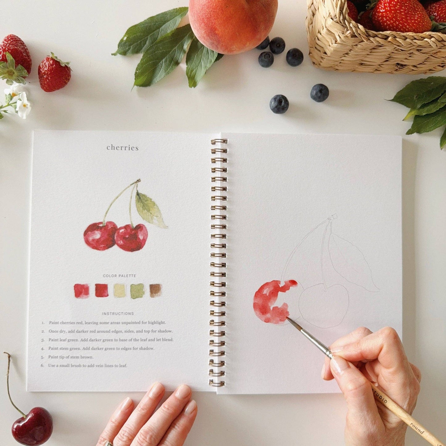 Emily Lex Fruit watercolor workbook