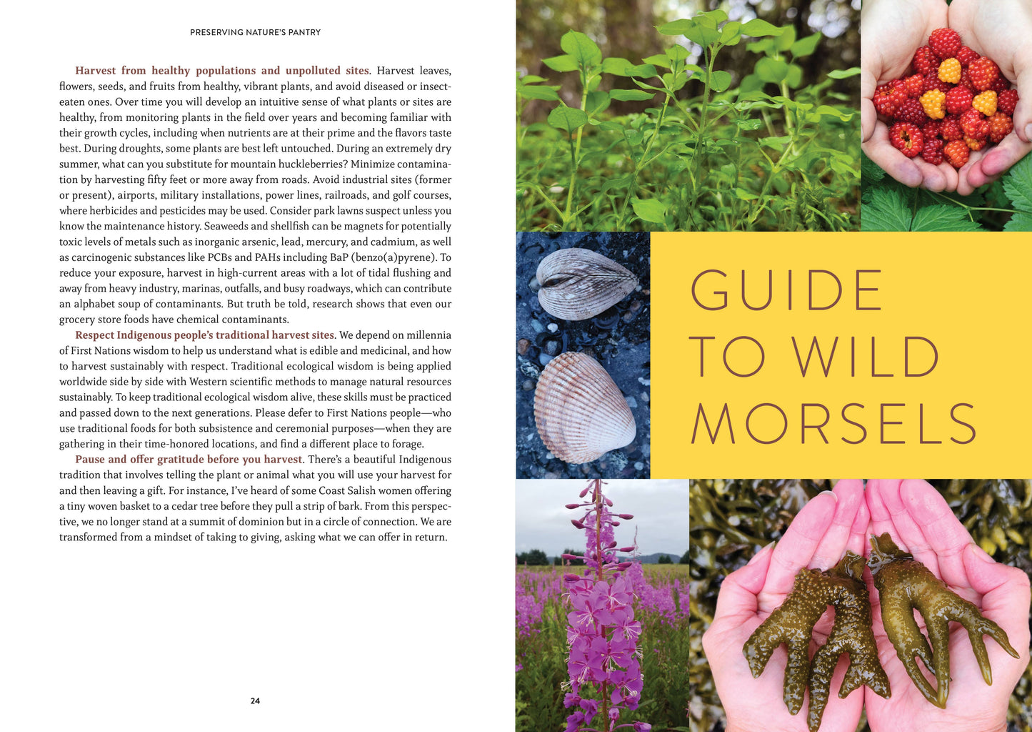 Mountaineers Books -- Pacific Harvest: A Northwest Coast Foraging Guide