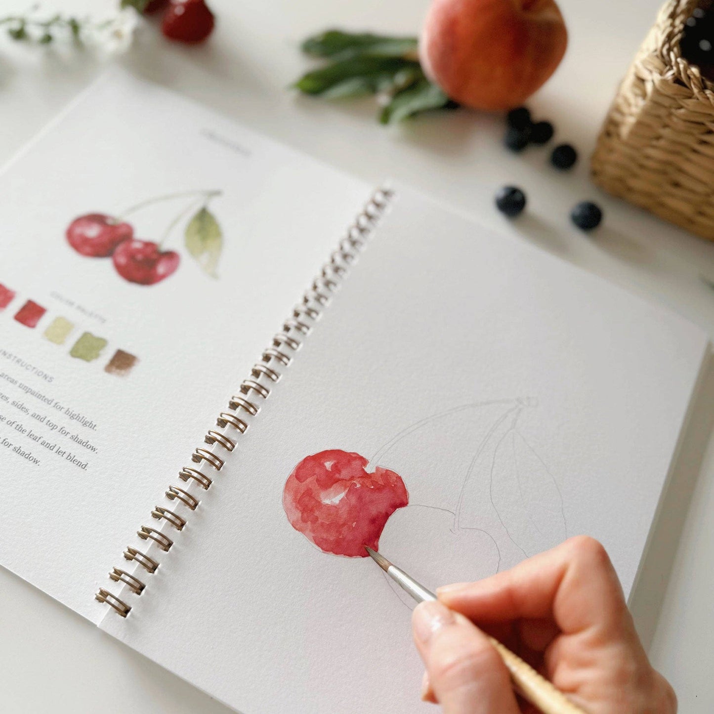 Emily Lex Fruit watercolor workbook