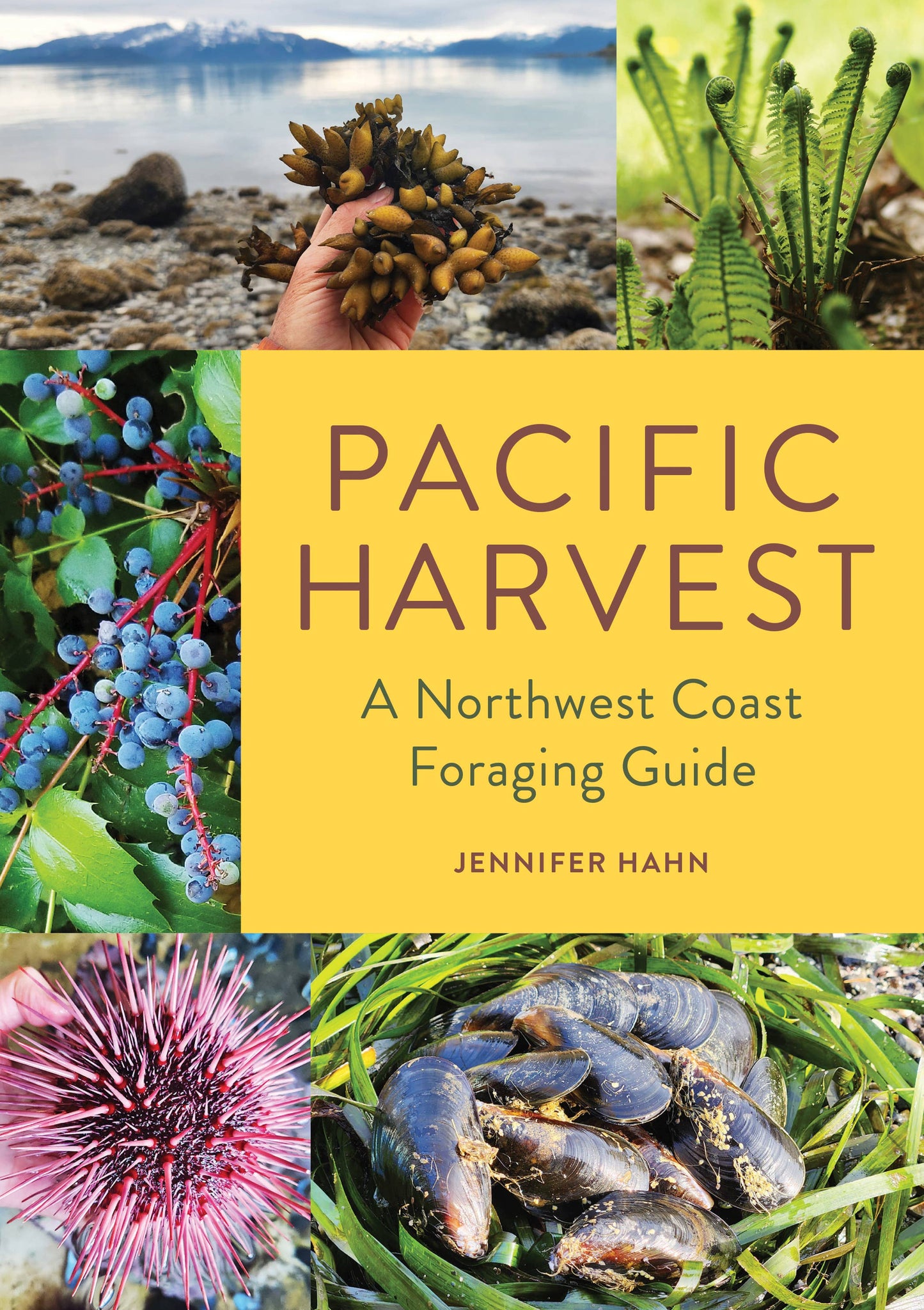 Mountaineers Books -- Pacific Harvest: A Northwest Coast Foraging Guide