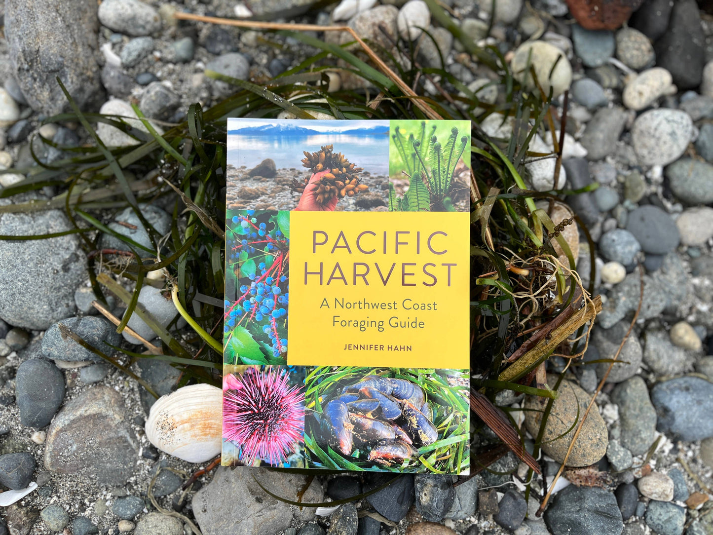 Mountaineers Books -- Pacific Harvest: A Northwest Coast Foraging Guide