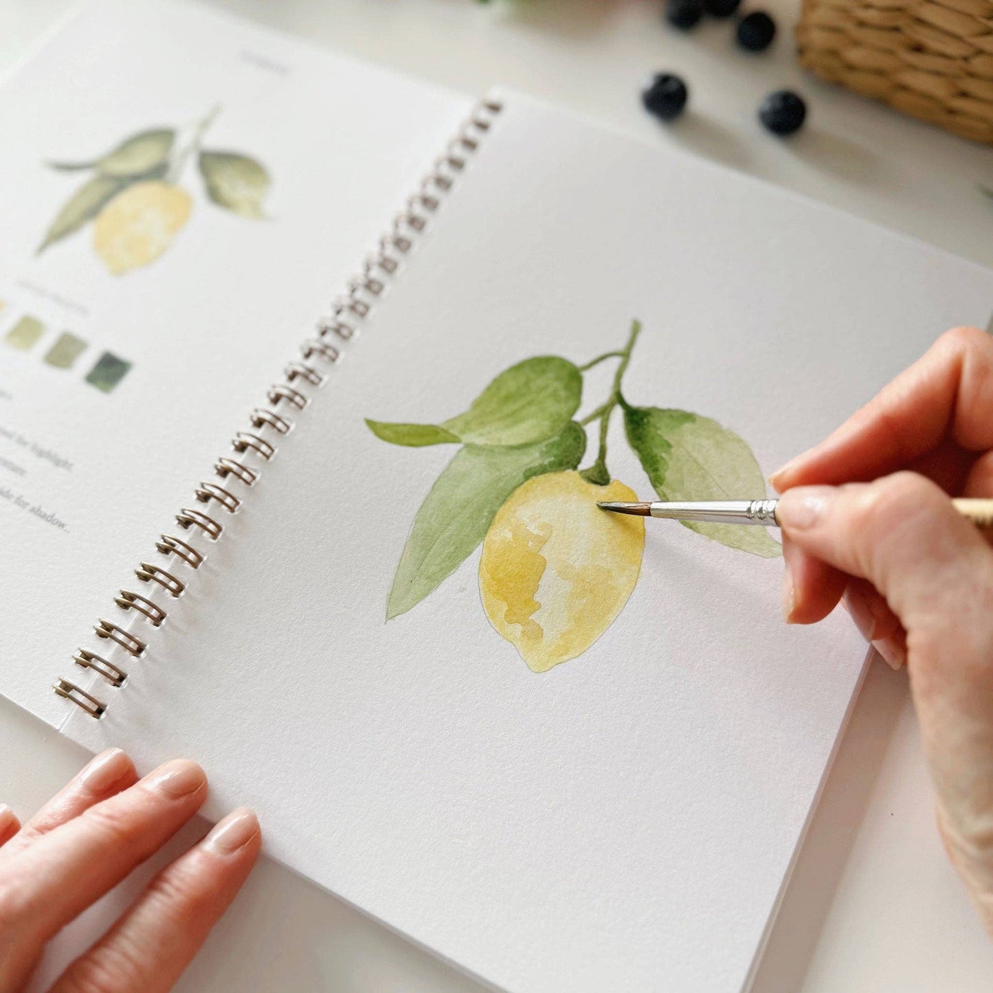 Emily Lex Fruit watercolor workbook
