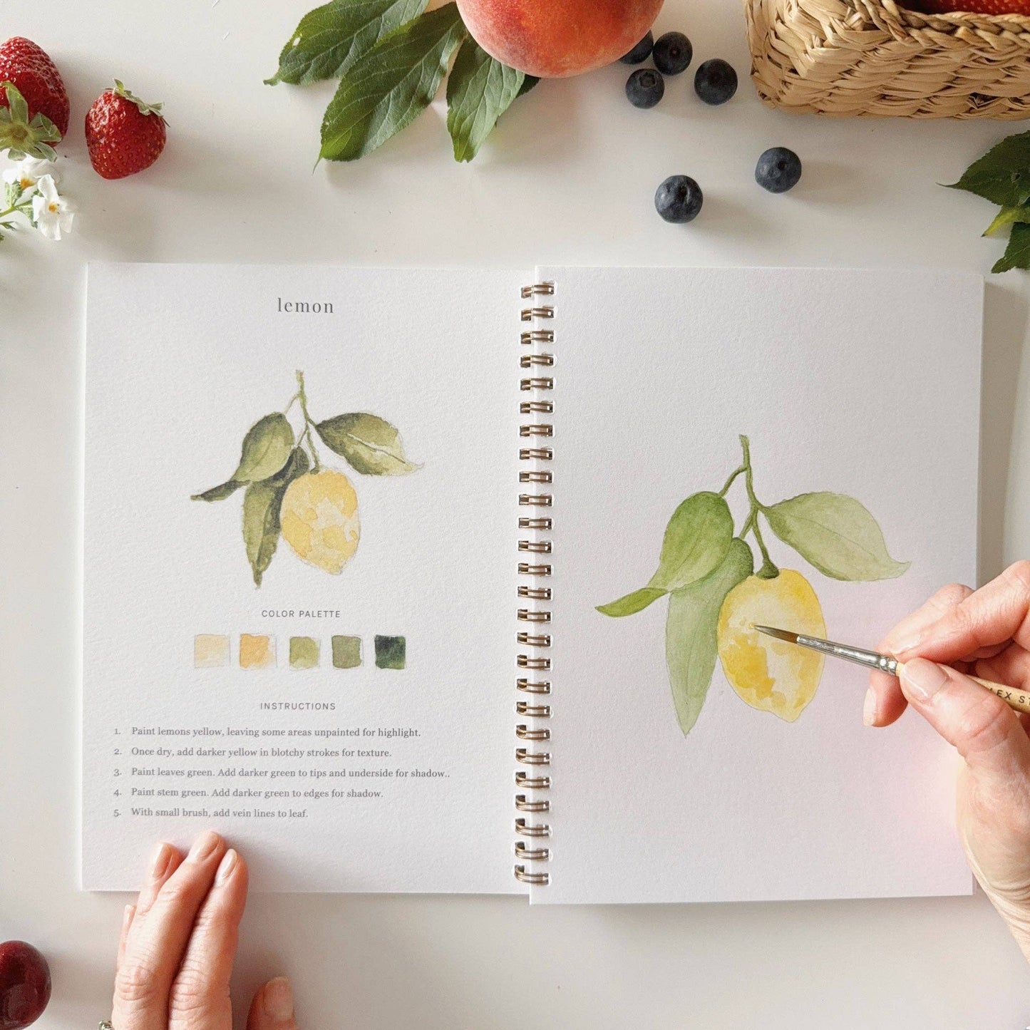 Emily Lex Fruit watercolor workbook