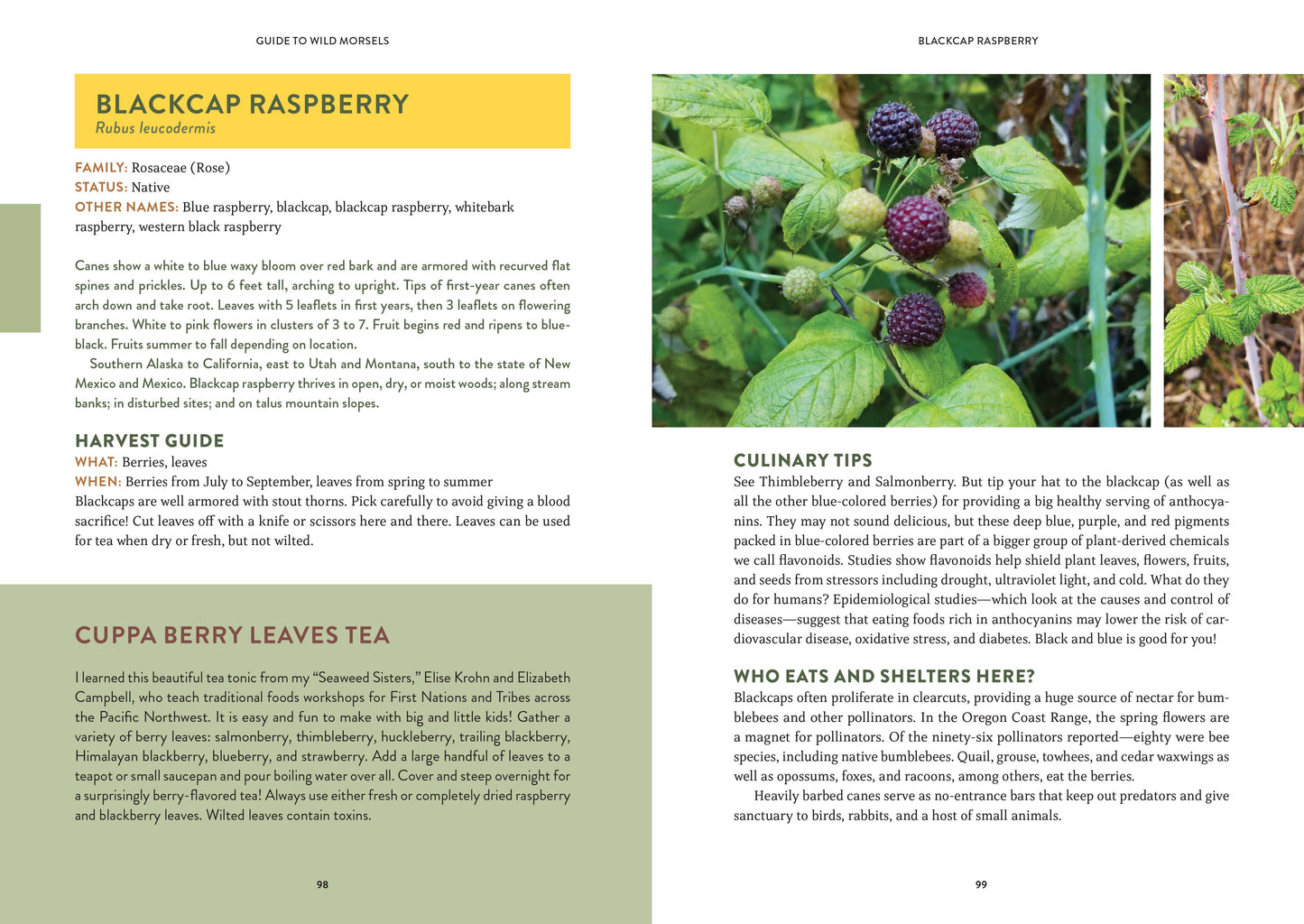 Mountaineers Books -- Pacific Harvest: A Northwest Coast Foraging Guide