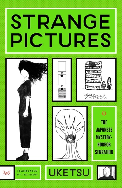 Strange Pictures:  A Novel