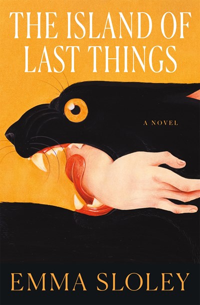 The Island of Last Things : A Novel