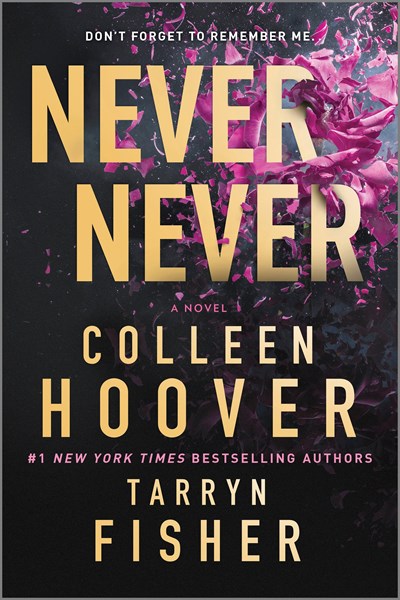 Never Never : A Romantic Suspense Novel of Love and Fate