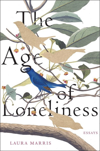 The Age of Loneliness:  Essays