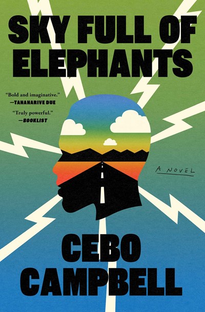 Sky Full of Elephants:  A NovelSky Full of Elephants:  A Novel