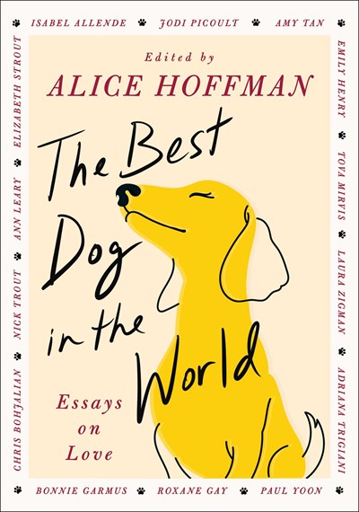 The Best Dog in the World:  Essays on Love