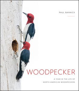 Woodpecker: A Year in the Life of North American Woodpeckers