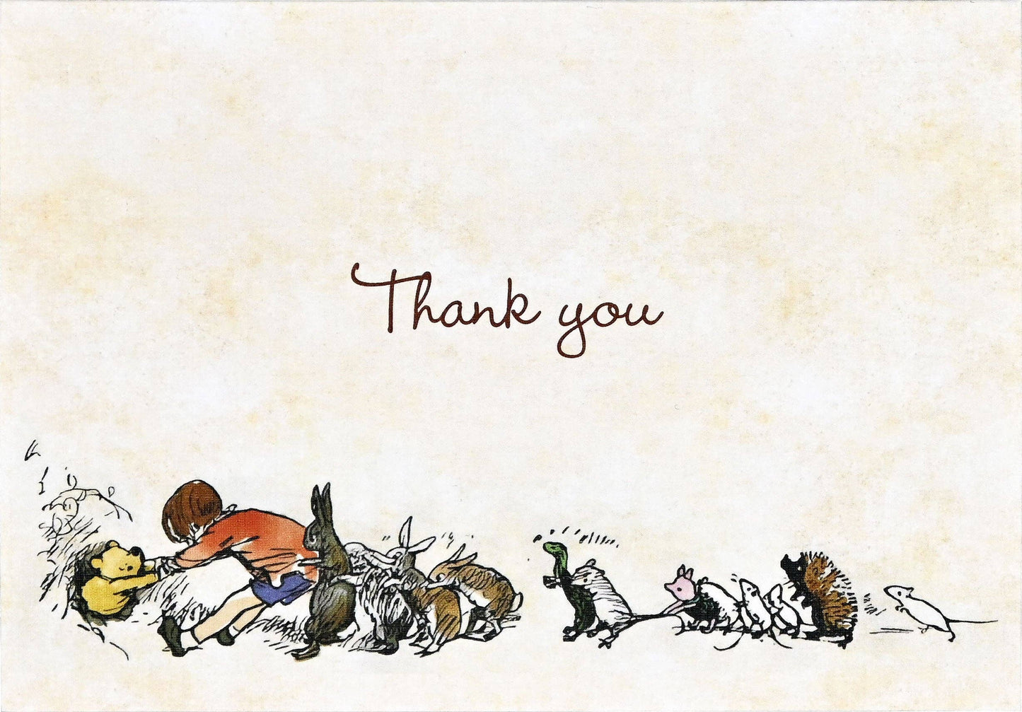 Peter Pauper Pooh Bear Thank You Notes