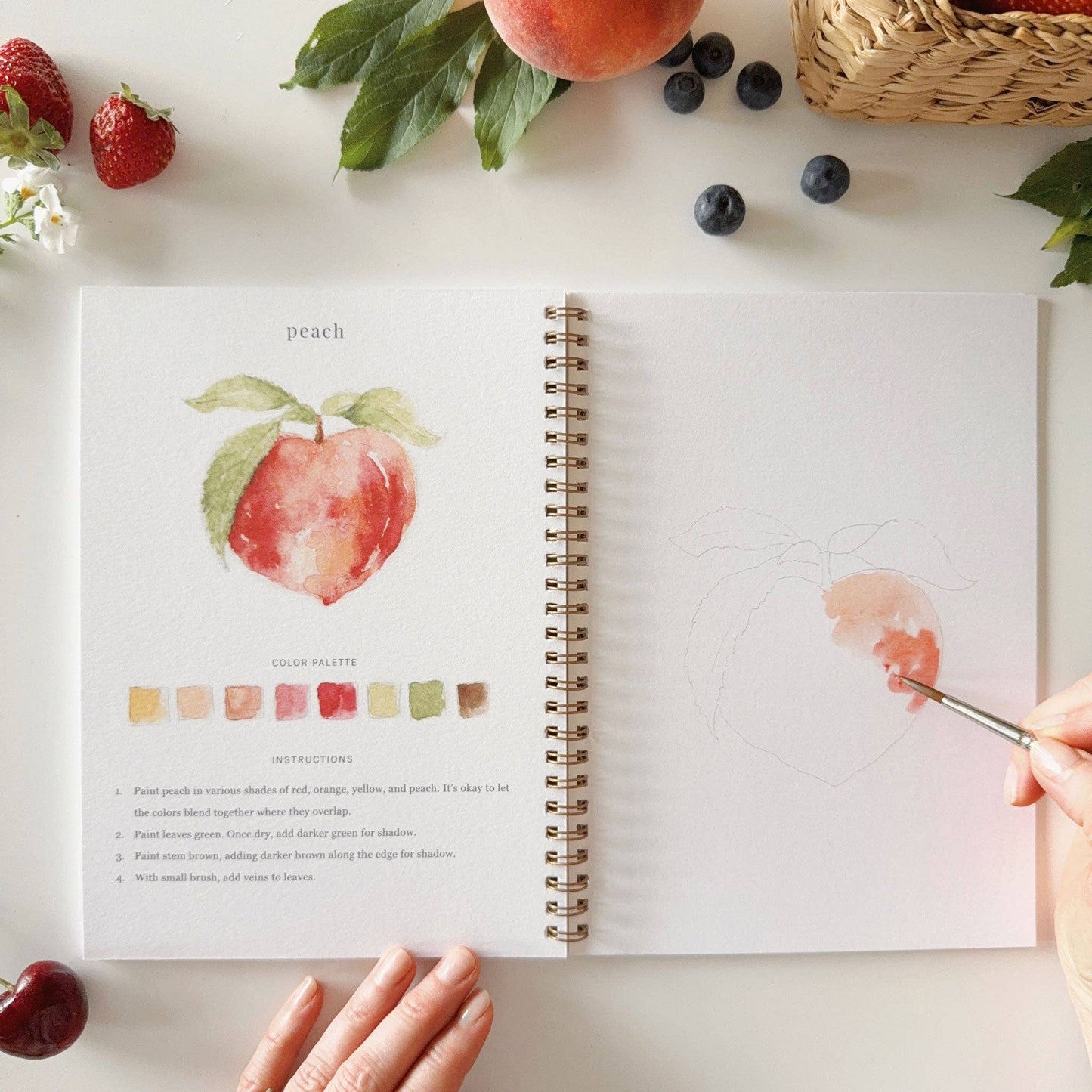 Emily Lex Fruit watercolor workbook