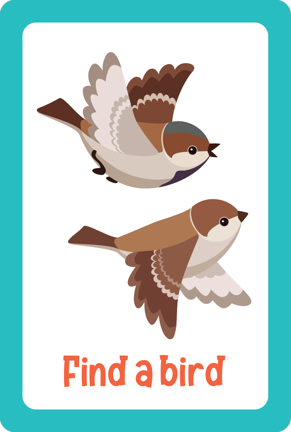 Peter Pauper Nature Seek-and-Find Scavenger Hunt Cards