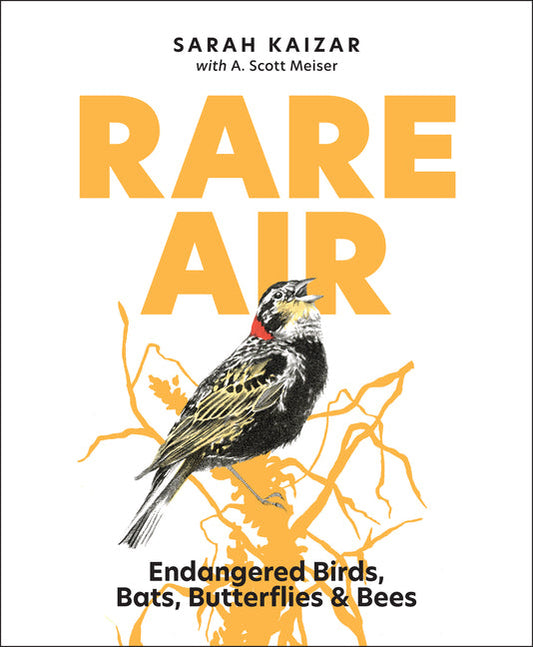 Rare Air: Endangered Birds, Bats, Butterflies, & Bees - Ingram