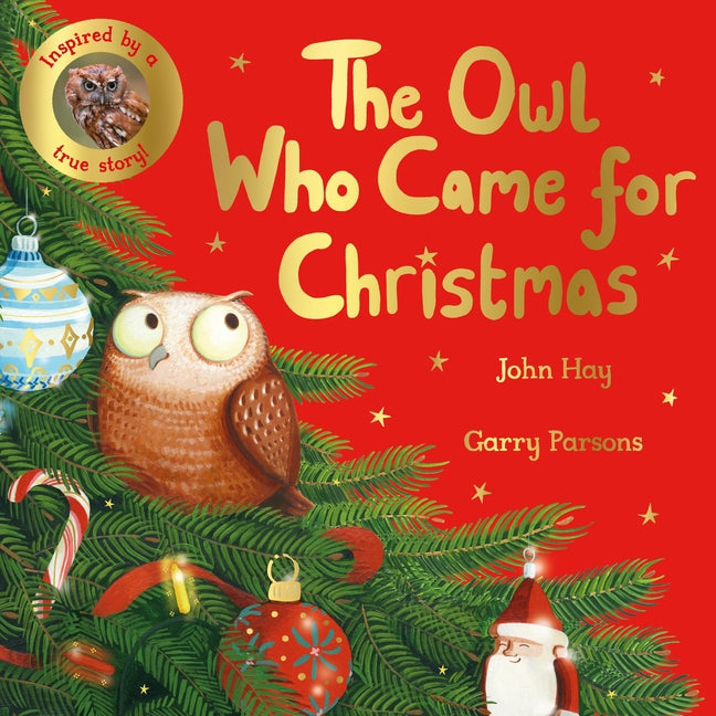 Owl Who Came for Christmas - Ingram