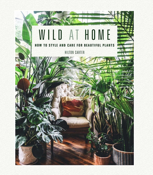 Wild at Home: How to Style and Care for Beautiful Plants - Ingram